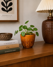 Load image into Gallery viewer, Keramikk blomsterpotte
